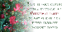 Chritmas