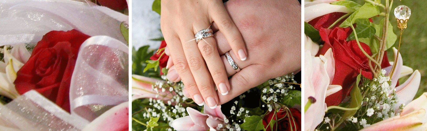 Wedding 6