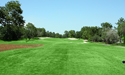 Tee 14